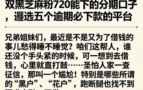 双黑芝麻粉720能下的分期口子，遴选五个逾期必下款的平台