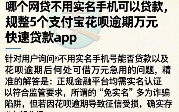 哪个网贷不用实名手机可以贷款，规整5个支付宝花呗逾期万元快速贷款app