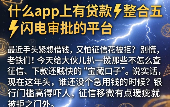 什么app上有贷款，整合五个闪电审批的平台