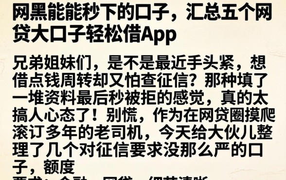 网黑能能秒下的口子，汇总五个网贷大口子轻松借app