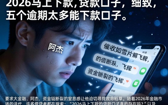 2026马上下款的贷款口子，细致阐述五个逾期太多能下款口子