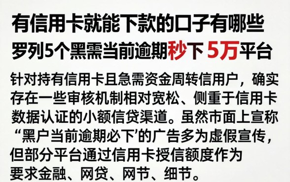 有信用卡就能下款的口子有哪些，罗列5个黑户当前逾期秒下5万平台