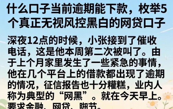 什么口子当前逾期能下款，枚举5个真正无视风控黑白的网贷口子