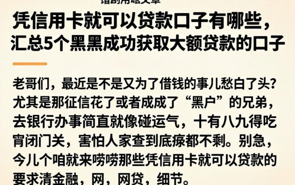 凭信用卡就可以贷款口子有哪些，汇总5个黑户成功获取大额贷款的口子