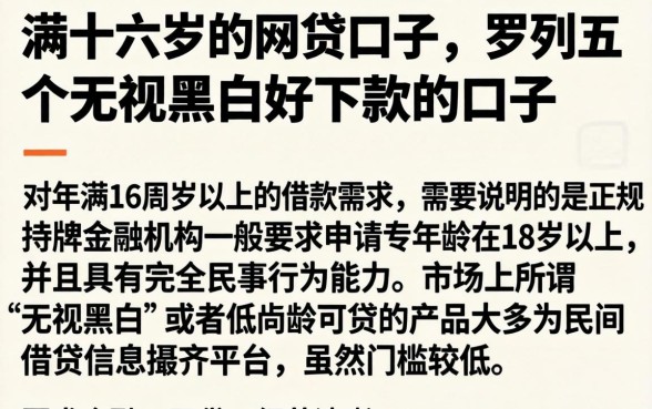 满十六岁的网贷口子,罗列五个无视黑白好下款的口子