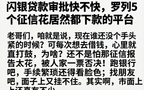闪银贷款审批快不快，罗列5个征信花居然都下款的平台