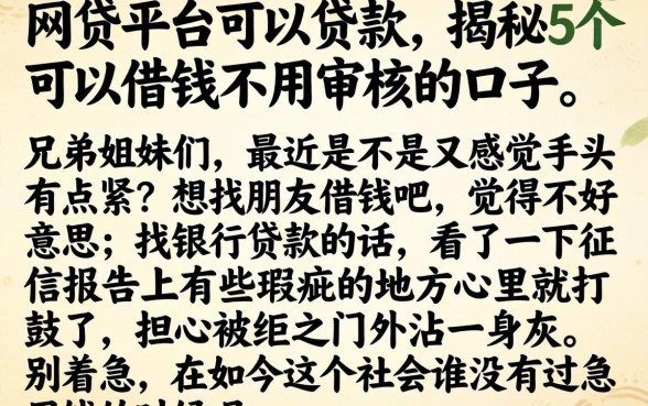 网贷平台可以贷款，揭秘5个可以借钱不用审核的口子