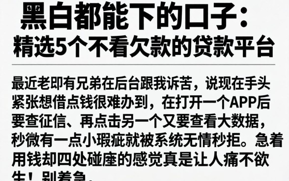 黑白都能下的口子，精选5个不看欠款的贷款平台