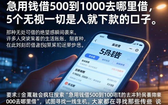 急用钱借500到1000去哪里借，枚举5个无视一切是人就下款的口子
