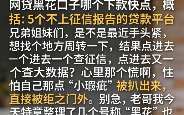 网贷黑花口子哪个下款快点，概括5个不上征信报告的贷款平台