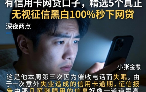 有信用卡网贷口子,精选5个真正无视征信黑白100%秒下网贷