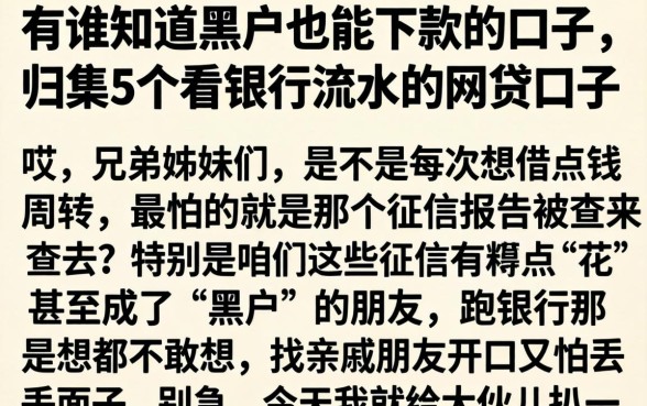 有谁知道黑户也能下款的口子，归集5个看银行流水的网贷口子