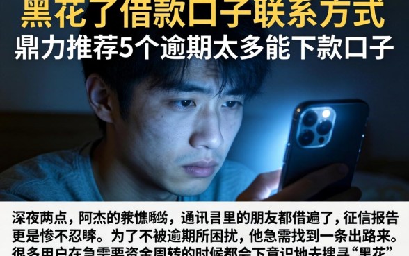 黑花了借款口子联系方式，鼎力推荐5个逾期太多能下款口子