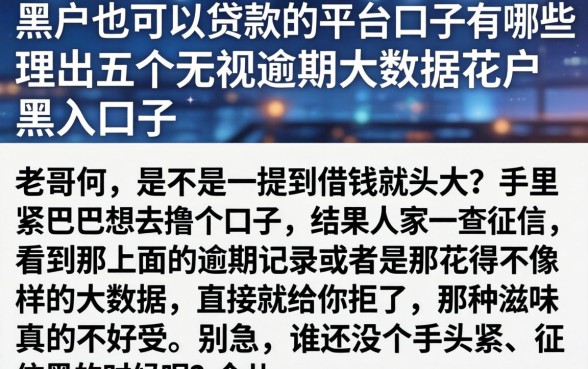 黑户也可以贷款的平台口子有哪些，理出五个无视逾期大数据花户黑户口子