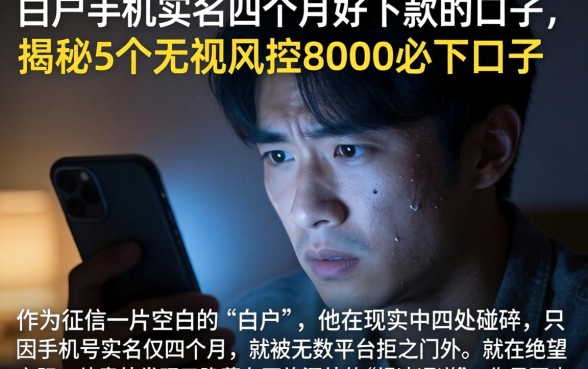 白户手机实名四个月好下款的口子，揭秘5个无视风控8000必下口子