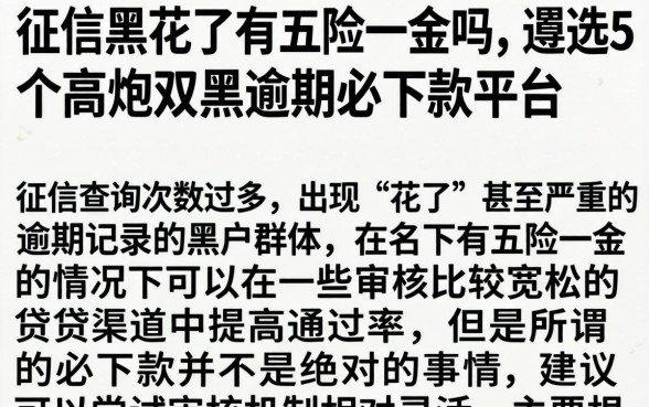 征信黑花了有五险一金吗,遴选5个高炮双黑逾期必下款平台