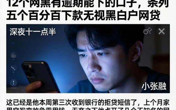 12个网黑有逾期能下的口子，条列五个百分百下款无视黑白户网贷