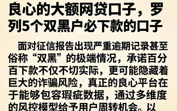 良心的大额网贷口子，罗列5个双黑户必下款的口子