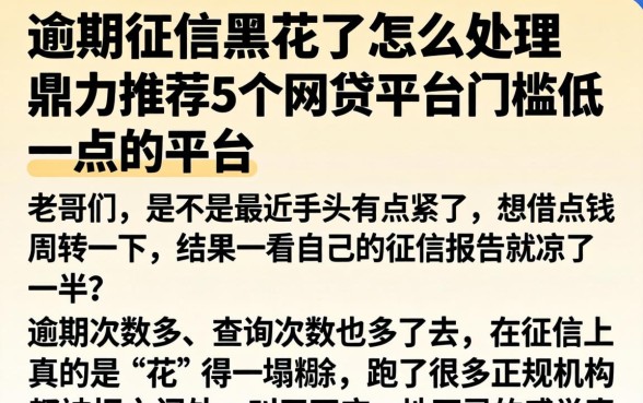 逾期征信黑花了怎么处理,鼎力推荐5个网贷平台门槛低一点的平台