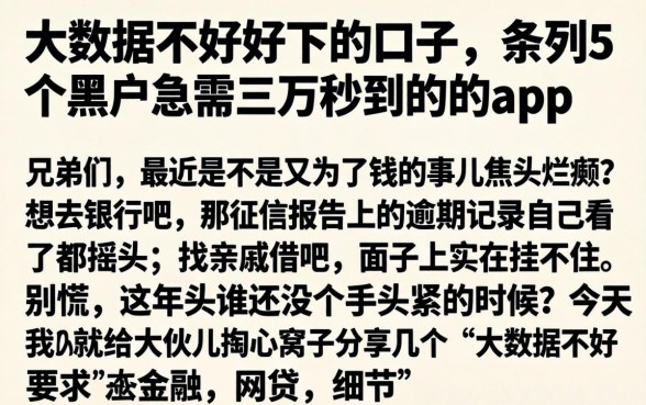 大数据不好好下的口子，条列5个黑户急需三万秒到的的app