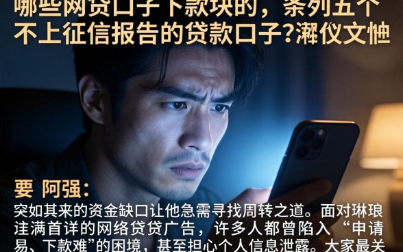 哪些网贷口子下款块的，条列五个不上征信报告的贷款口子