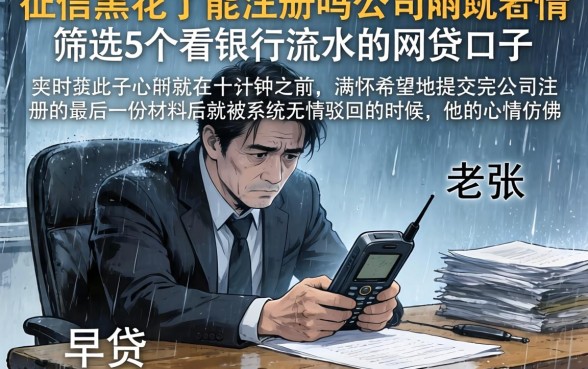 征信黑花了能注册吗公司，筛选5个看银行流水的网贷口子