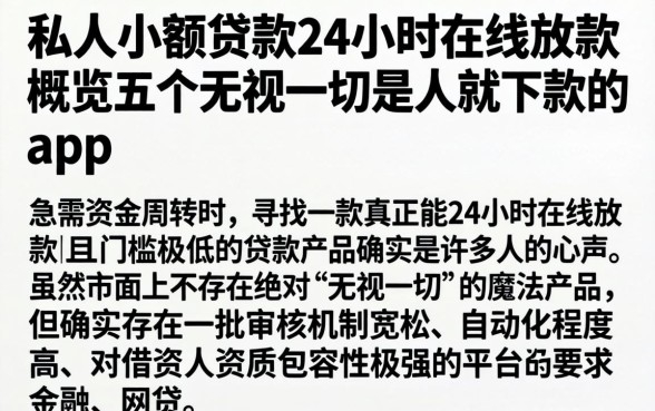 私人小额贷款24小时在线放款，概览五个无视一切是人就下款的app