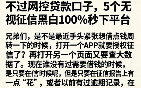 不过风控贷款口子，详细阐述5个无视征信黑白100%秒下平台