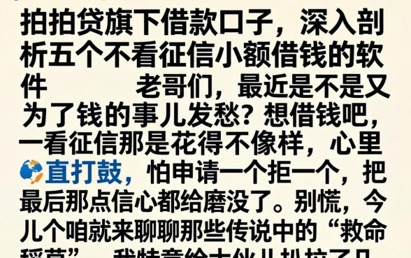 拍拍贷旗下借款口子，深入剖析五个不看征信小额借钱的软件