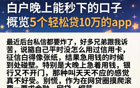 白户晚上能秒下的口子，概览5个轻松贷10万的app