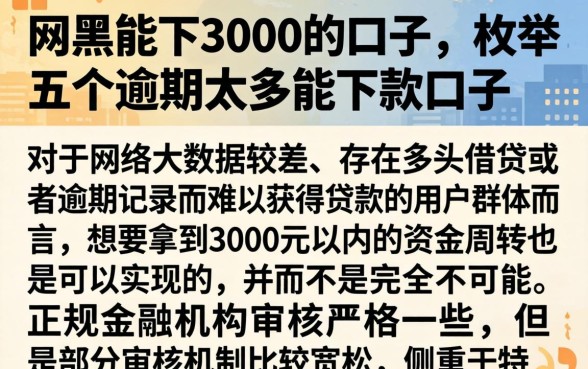 网黑能下3000的口子，枚举五个逾期太多能下款口子