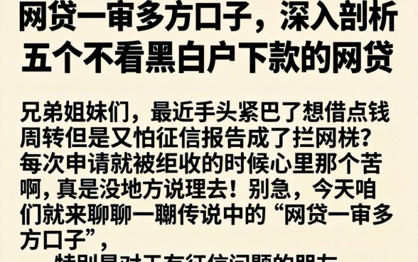 网贷一审多方口子，深入剖析五个不看黑白户下款的网贷