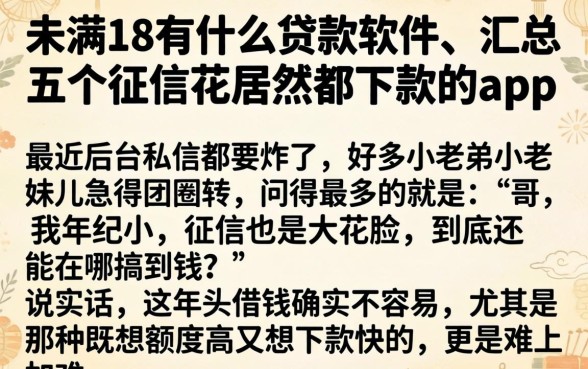 未满18有什么贷款软件，汇总五个征信花居然都下款的app