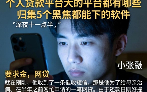 个人贷款平台大的平台都有哪些，归集5个黑户都能下的软件