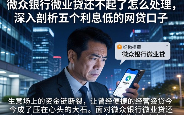 微众银行微业贷还不起了怎么处理，深入剖析五个利息低的网贷口子