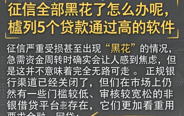 征信全部黑花了怎么办呢，胪列5个贷款通过高的软件