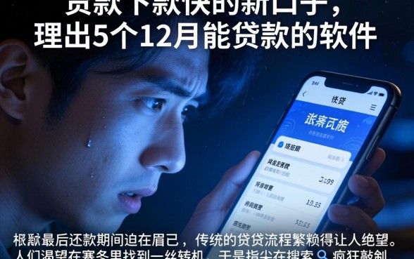 贷款下款快的新口子，理出5个12月能贷款的软件