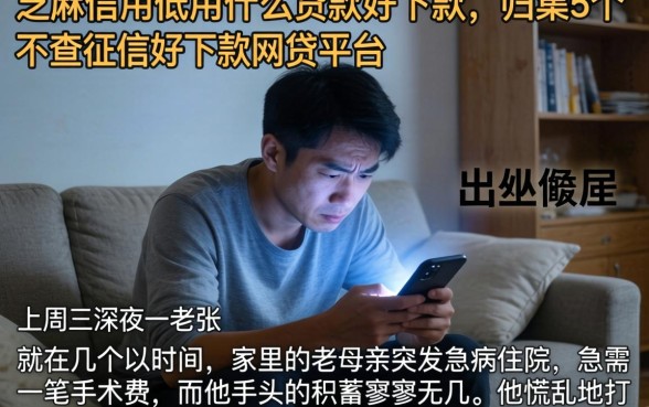 芝麻信用低用什么贷款好下款，归集5个不查征信好下款的网贷平台