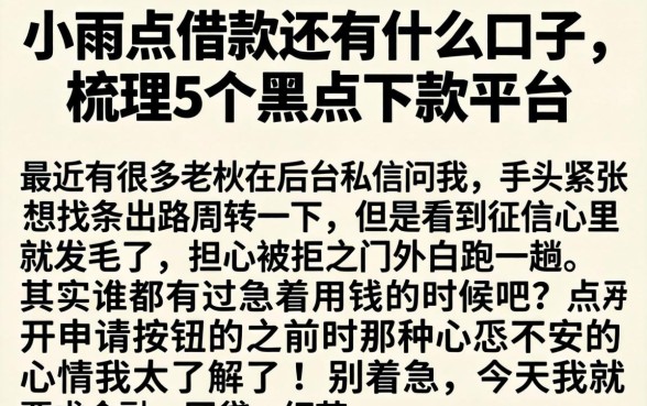 小雨点借款还有什么口子，梳理5个黑户下款平台