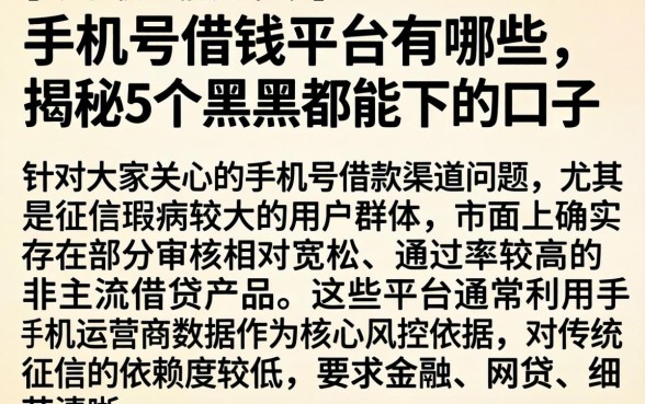 手机号借钱平台有哪些，揭秘5个黑户都能下的口子