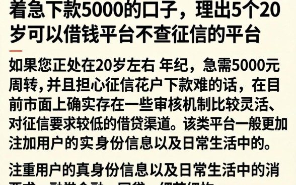 着急下款5000的口子，理出5个20岁可以借钱平台不查征信的平台