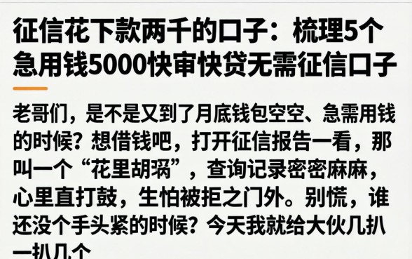 征信花下款两千的口子，梳理5个急用钱5000快审快贷无需征信口子