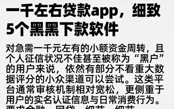 一千左右贷款app，细致阐述5个黑户下款软件