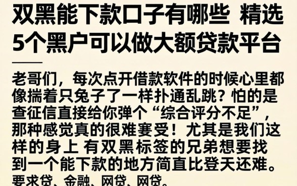 双黑能下款的口子有哪些，精选5个黑户可以做大额贷款平台