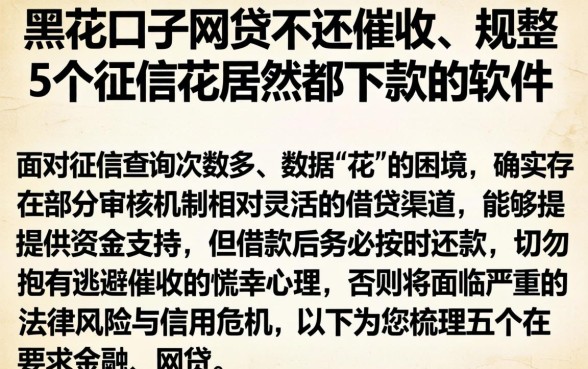 黑花口子网贷不还催收，规整5个征信花居然都下款的软件