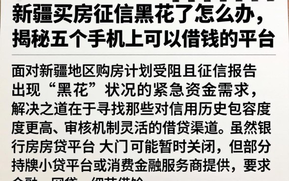 新疆买房征信黑花了怎么办，揭秘五个手机上可以借钱的平台