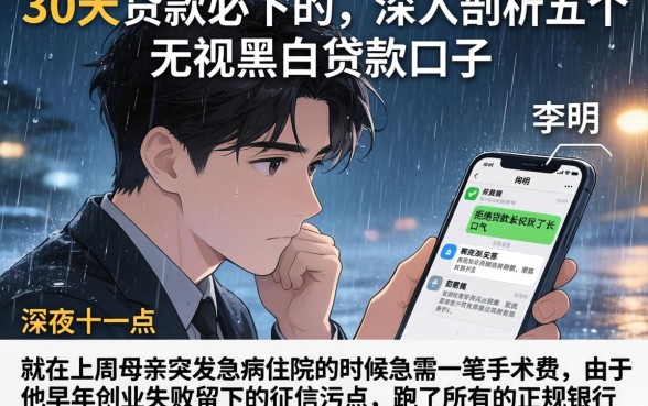 30天贷款必下的，深入剖析五个无视黑白贷款口子