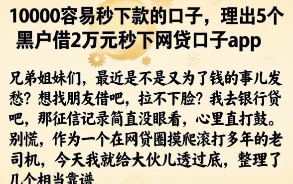 10000容易秒下款的口子，理出5个黑户借2万元秒下网贷口子app