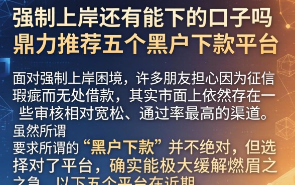 强制上岸还有能下的口子吗，鼎力推荐五个黑户下款平台