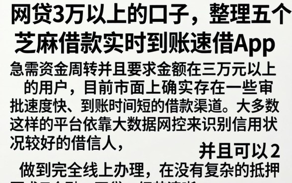 网贷3万以上的口子，整理五个芝麻借款实时到账速借app